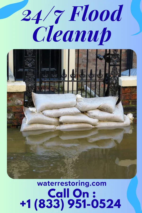 24/7 Flood Cleanup in Forestville, MI