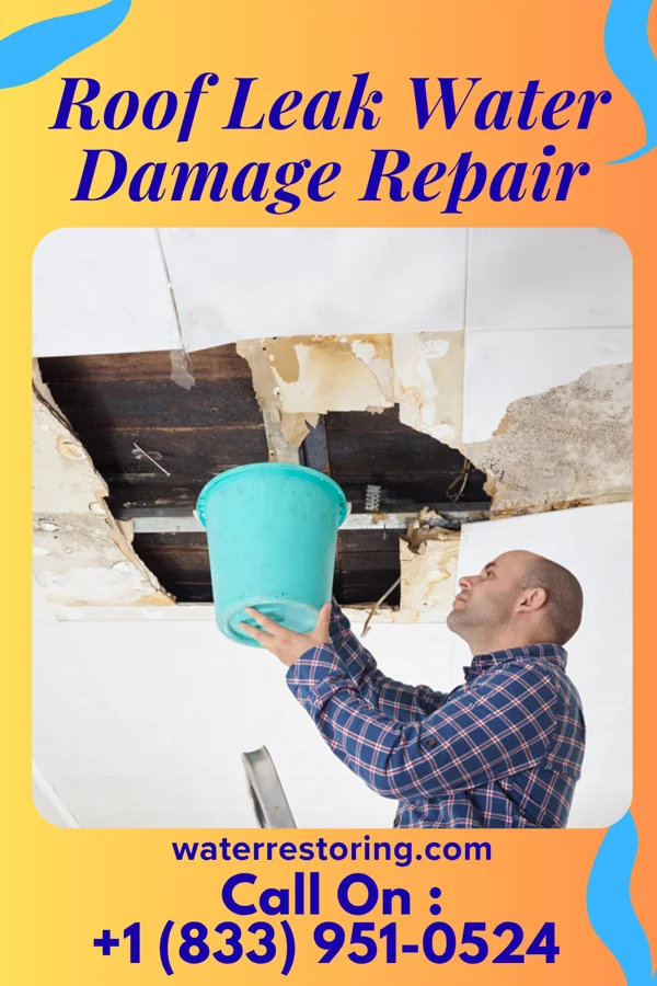Roof Leak Water Damage Repair in Forestville, MI
