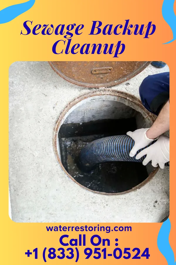 Sewage Backup Cleanup in Forestville, MI