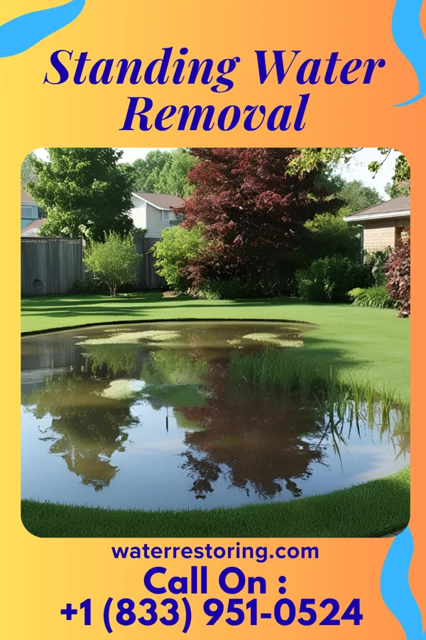 Standing Water Removal in Forestville, MI